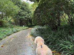 -杭州城北体育公园