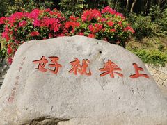 -普陀山风景区-佛顶山