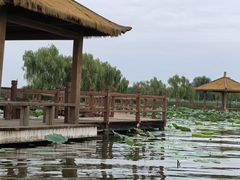 -白洋淀景区
