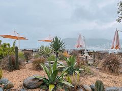 -Brew Farm·精酿农场海滨悬崖餐厅