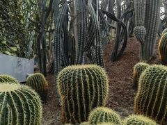 -南山植物园