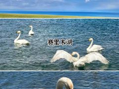-赛里木湖风景名胜区