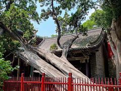 -晋祠公园