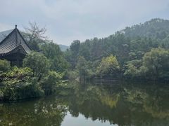 -黄陂区野村谷景区