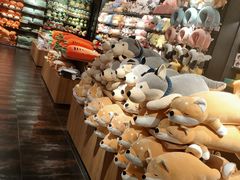 -酷乐潮玩(五道口购物中心店)