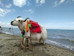 -青海湖国家重点风景名胜区