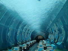 -海棠湾洲际-涛·海底餐厅·美人鱼·自助餐·海底隧道