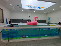 -优加国际游泳中心(开发区万达店)