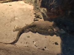 -新疆天山野生动物园