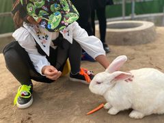 -前小桔亲子创意农场·草莓采摘·露营烧烤