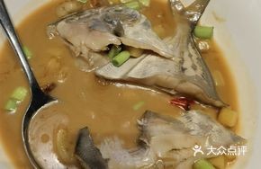 Wild White Pomfret