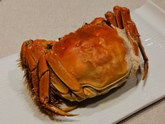 清蒸大闸蟹-A One Kitchen·南京精菜馆(德基广场店)