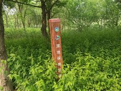 -同里国家湿地公园