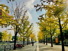 -中华艺术宫(上海美术馆)