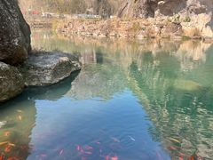 -楠溪江风景名胜区