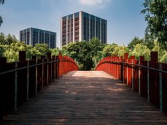 -南翔镇银翔湖公园