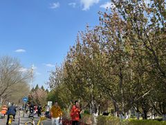 -元大都城垣遗址公园