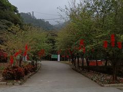 -南丹山森林王国