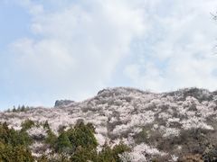 -妙峰山风景名胜区