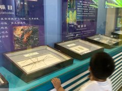 -上海昆虫博物馆