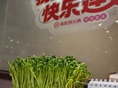 -海底捞火锅(宇飞大厦店)