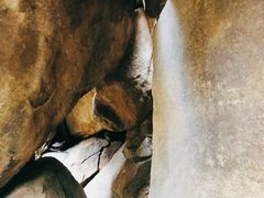 -鲁山国家森林公园