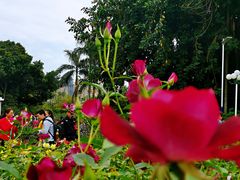 -人民公园(罗湖区)