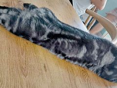 -平行世界·猫咖(首经贸店)