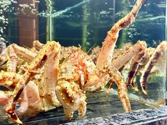 -许家菜(望江店)
