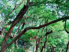 -城隍阁
