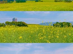 -光明小镇欢乐田园