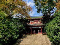 -灵谷景区