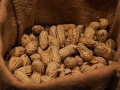 花生米-Long Bar(莱佛士酒店)