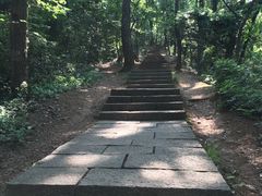 -九曜山