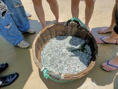 -平潭国际旅游岛·龙王头沙滩运动基地