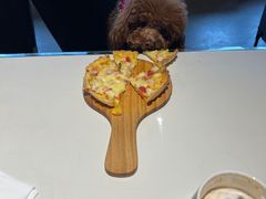 -百好乐宠物友好餐厅(朝外大街店)