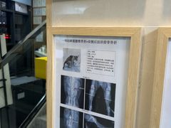 -半岛宠物医院24小时·内窥镜·牙科·碎石中心(府城大道店)