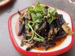 -向外鱼乐·土菜·虹鳟鱼