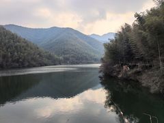 -天乐农家鱼头王(天目湖店)