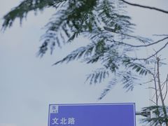 -中澳友谊花园