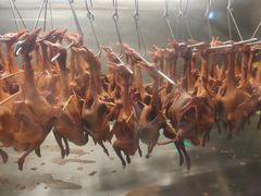 -鸽子侯·家宴·平价海鲜(绿地店)