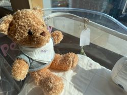 -巍阁高端月子会所