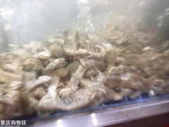 -盒马鲜生(财富中心店)