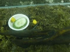 -上海大自然野生昆虫馆