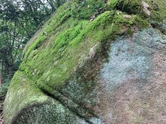 -普陀山风景区-佛顶山