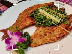 -香巴拉云南餐厅(华莱坞店)