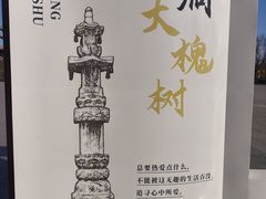 -大槐树寻根祭祖园