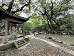 -兰亭风景区