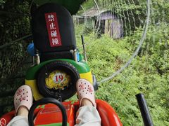 -大奇山国家森林公园