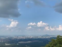 -紫金山天文台